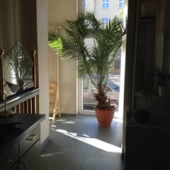 Am Steintor - Bild 16