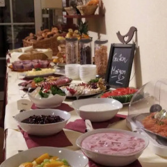 Hotel ElbRivera Alt Prester - Bild 12