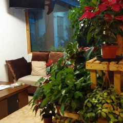 Yitu Hotel thumbnail 4
