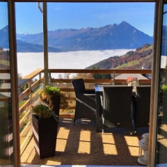 Swiss Lakeview Apartment thumbnail 6