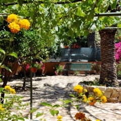 Marcella House thumbnail 11