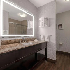 Hampton Inn & Suites Harvey/New Orleans West Bank thumbnail 8