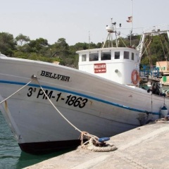LLEVANT - Bild 21