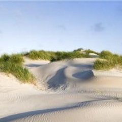 Hotel Strandhof - Bild 11