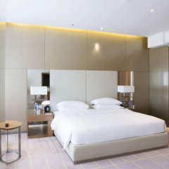 Hyatt Regency Dubai Creek Heights thumbnail 23