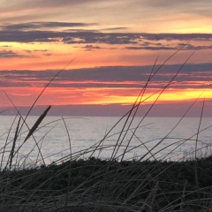 App.3 Seeblick - Bild 3
