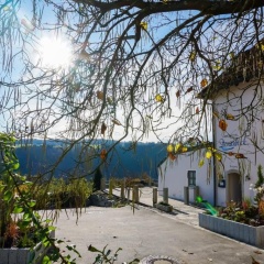 Landhotel Donaublick - Bild 14