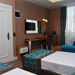 Niss Business Hotel - Bild 2