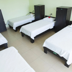 Room2Board Hostel and Surf School