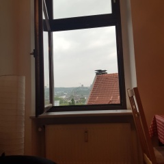 Apartment im Luisenviertel - Grün - Bild 7