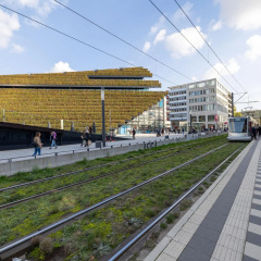 Limehome Düsseldorf Stresemannstraße - Bild 13
