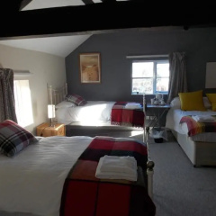 Red lion thumbnail 6