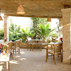 Hotel Sa Carrotja - Adults Only - Bild 11