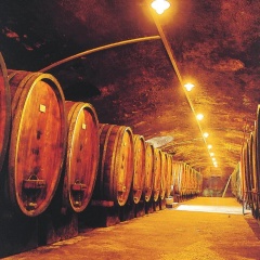 Weinstube Schwarzamsel - Bild 1