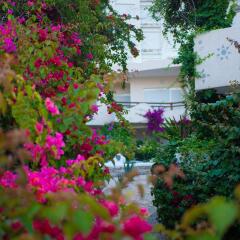 Bougainville Bay Hotel in Sarande, Albania from 69$, photos, reviews - zenhotels.com photo 9