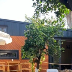 Mandalin Tiny House - Bild 25