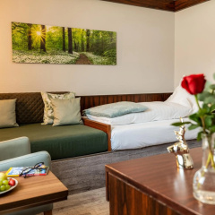 Hotel Goldener Hirsch - Bild 10