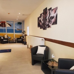 Carea Residenz Hotel Harzhöhe - Bild 13