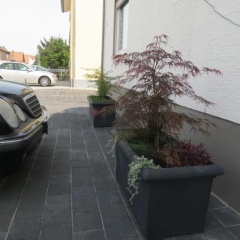 Spira House - Bild 7