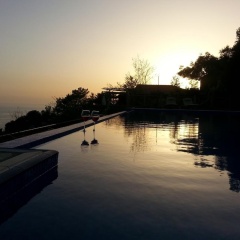 Olive Garden Kabak - Bild 15
