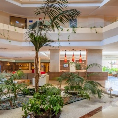 Zafiro Tropic - Bild 20