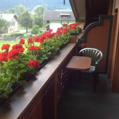 Apartment Und Ferienwohnung Waldruh Mayrhofen Im Zillertal - Bild 6