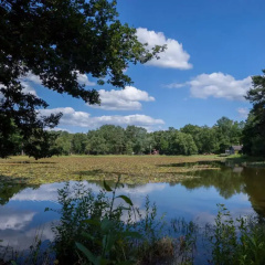 Holiday Home in Stramproy Near Nature Reserves thumbnail 10