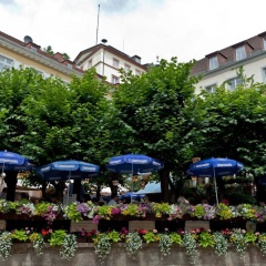 Hotel Zum Goldenen Löwen - Bild 12