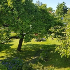 Bungalow - Bild 2