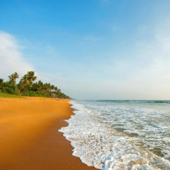 Taprobana Wadduwa by Asia Leisure thumbnail 38