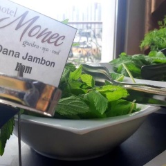 Hotel Monec - Bild 12