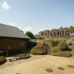 Sunny Day Jeju Pension thumbnail 22