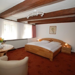 Brauner Hirsch - Bild 2