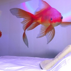 The Room 44 - Bild 18