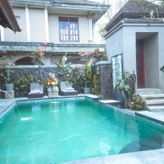 Satya House Ubud - Bild 9