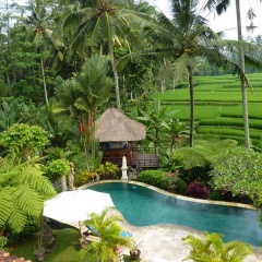 Villa Orchid Bali - Bild 3