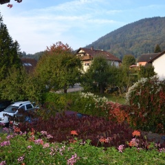 Gasthaus Auerhahn - Bild 14