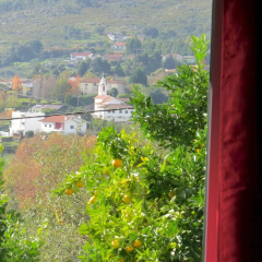 Sweet Home Braga Hostel & Guest House thumbnail 31