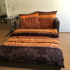 Geschmackvolle Wohnung in Offenbach - Bild 5