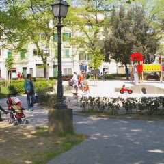 Tasso Garden thumbnail 10