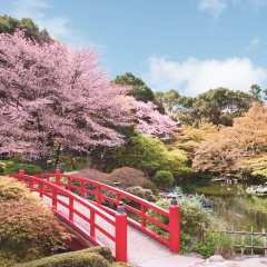 Hotel New Otani Tokyo, The Main - Bild 30