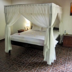 Scuba Tribe Bali dive-resort - Bild 5