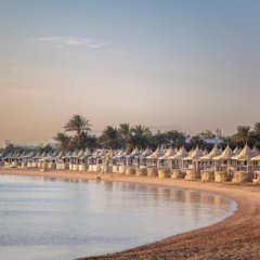 Grand Palace - Adults only 18 years plus in Hurghada, Egypt from 296$, photos, reviews - zenhotels.com photo 11