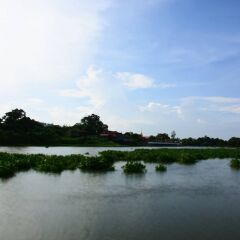 Отель Baan Sikuuk Bed & Breakfast Таиланд, Банг-Красан - отзывы, цены и фото номеров - забронировать отель Baan Sikuuk Bed & Breakfast онлайн фото 34
