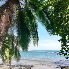 Mar Verde Lodge thumbnail 6