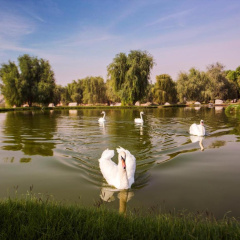 Telal Resort, Al Ain thumbnail 40