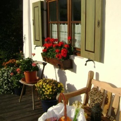 Ferienwohnung Wein - Bild 3