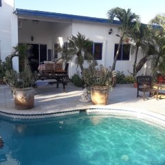 Palmita Hotel Hostel in Oranjestad, Aruba from 102$, photos, reviews - zenhotels.com photo 37