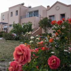 Casa Verde Houses thumbnail 1