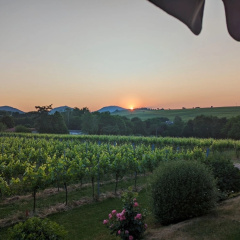 Ferienwohnung an Pfaffensee - Bild 15